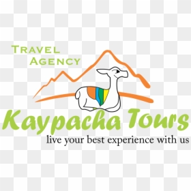 Transparent Machu Picchu Clipart - Braveheart Shipping, HD Png Download - braveheart png