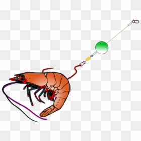 Transparent Angler Clipart - Fishing Pole With Bait Clipart, HD Png Download - bait png