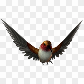 Free High Resolution Png Images - Birds Png, Transparent Png - high resolution png images
