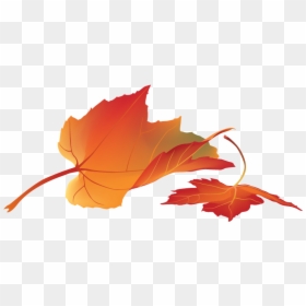 Photoshop Psd Daun Gugur, HD Png Download - fall foliage png