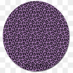Circle, HD Png Download - png photoscape