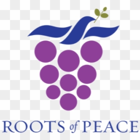 Logo Roots Of Peace - Roots Of Peace Logo, HD Png Download - peace.png