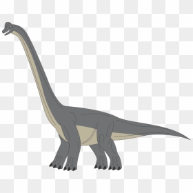 Brachiosaurus Png Transparent Picture - Brachiosaurus Clipart, Png Download - diplodocus png