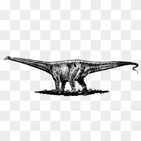 Una Conspiración Educativa - Tyrannosaurus, HD Png Download - diplodocus png