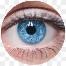 Olho , Png Download - Female Eye, Transparent Png - olho png