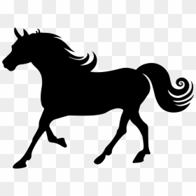 Horse With Curly Mane Silhouette - Horse Silhouette Icon, HD Png Download - curly line png