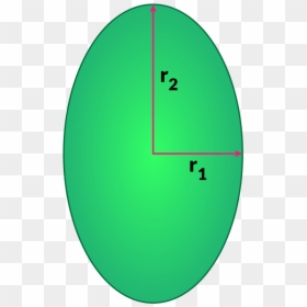 Ellipse - Circle, HD Png Download - ellipse png