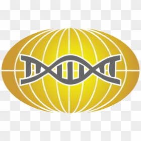 Fmf A - Fmf And Aid Global Association, HD Png Download - brindis png