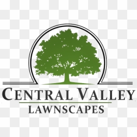 Central Valley Lawnscapes"s Logo - Trottier Middle School, HD Png Download - landscape tree png