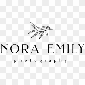 Nora Emily Photography - Line Art, HD Png Download - sapling png