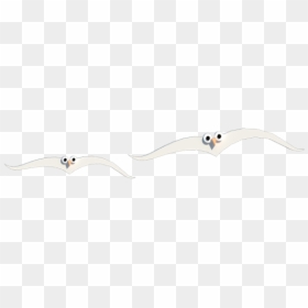 Tern, HD Png Download - gaviotas png