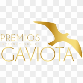 Premios Internacionales Gaviota - Calligraphy, HD Png Download - gaviotas png