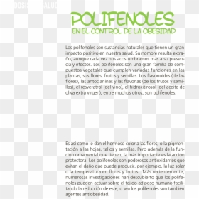 Document, HD Png Download - personas caminando png