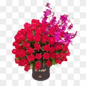 Garden Roses, HD Png Download - orquidea png