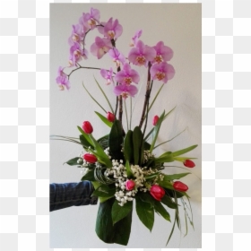 Bouquet, HD Png Download - orquidea png