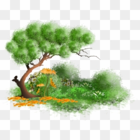 Tree, HD Png Download - arbre png