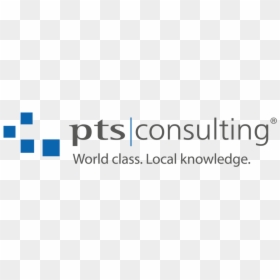 Ptsconsultinggroup-logo, HD Png Download - consulting png