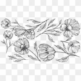 Sketch, HD Png Download - enredaderas png