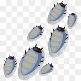 Insect, HD Png Download - ticks png