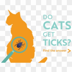 Do Cats Get Ticks Find The Answer - Cartoon, HD Png Download - ticks png
