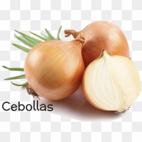Onion, HD Png Download - cebolla png