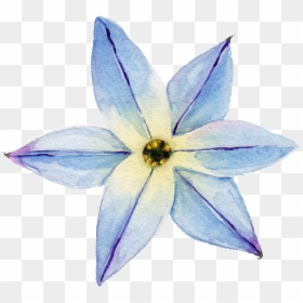 Elegant Transparent Watercolor Flowers Free Download, HD Png Download - free watercolor flower png