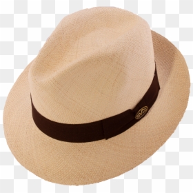 Fedora, HD Png Download - gaviota png