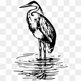 Green Heron Great Blue Heron Clip Art Great Egret - Blue Heron Black White, HD Png Download - heron png