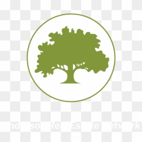 Anderson Real Estate Network - Tree Roots Silhouette, HD Png Download - gaviota png