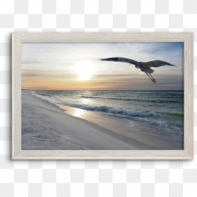 Picture Frame, HD Png Download - heron png