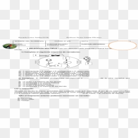 Onomatopeya Png , Png Download - Circle, Transparent Png - onomatopeya png
