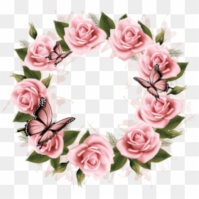 Beautiful Flowers And Butterflies, HD Png Download - roses frame png