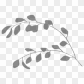 Illustration, HD Png Download - white leaf png