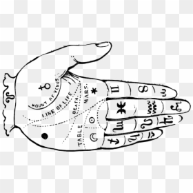 Palm Reading Diagram - Fortune Teller Hand Png, Transparent Png - fortune teller png