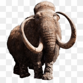 Mammoth With Giant Tusks - Walking Woolly Mammoth Toy, HD Png Download - tusk png