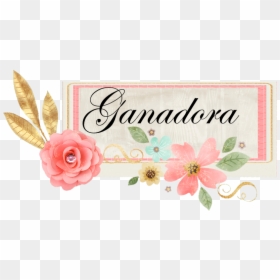 Garden Roses, HD Png Download - ganador png