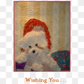 Poodle, HD Png Download - redhead png