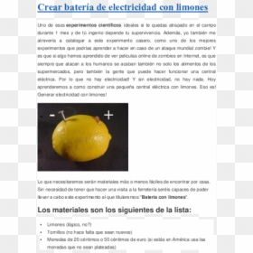 Meyer Lemon, HD Png Download - limones png
