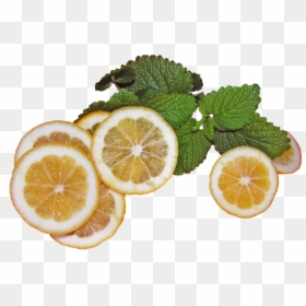 Lemon, HD Png Download - limones png