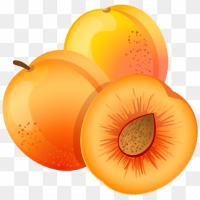 Apricot Clipart Png, Transparent Png - vector graphic png
