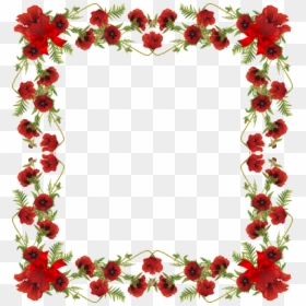Para Fotos Image - Transparent Background Red Poppy, HD Png Download - molduras lindas png