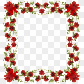Para Fotos Image - Transparent Background Red Poppy, HD Png Download - molduras lindas png