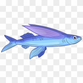 Bony-fish, HD Png Download - flying fish png