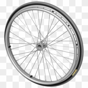 Vector Roda, HD Png Download - raios png