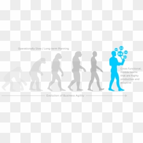 Evolution Of Man To Donkey, HD Png Download - human evolution png