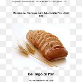 Pan Integral, HD Png Download - espigas de trigo png