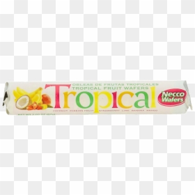 Fruit, HD Png Download - frutas tropicales png