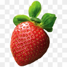 Strawberry Strawberries, HD Png Download - frutas tropicales png