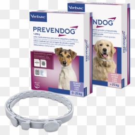 Collar Antiparasitario, HD Png Download - perros png