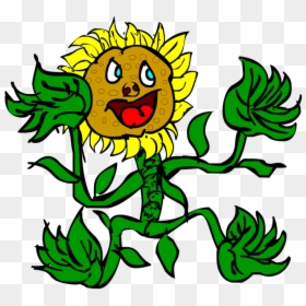 Picture, HD Png Download - sunflower .png